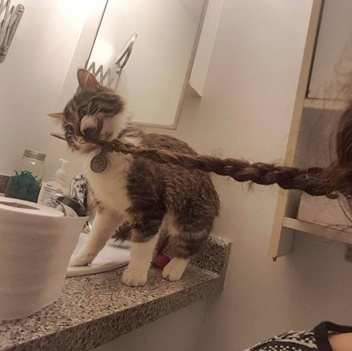 Фото © Reddit / pantiesUpinabunch