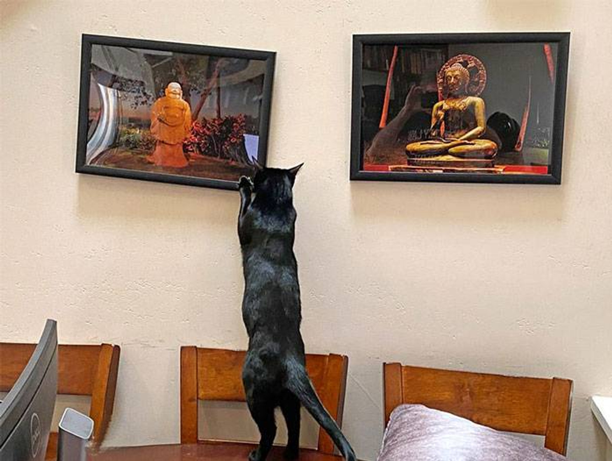 Фото © Reddit / Burritoworld