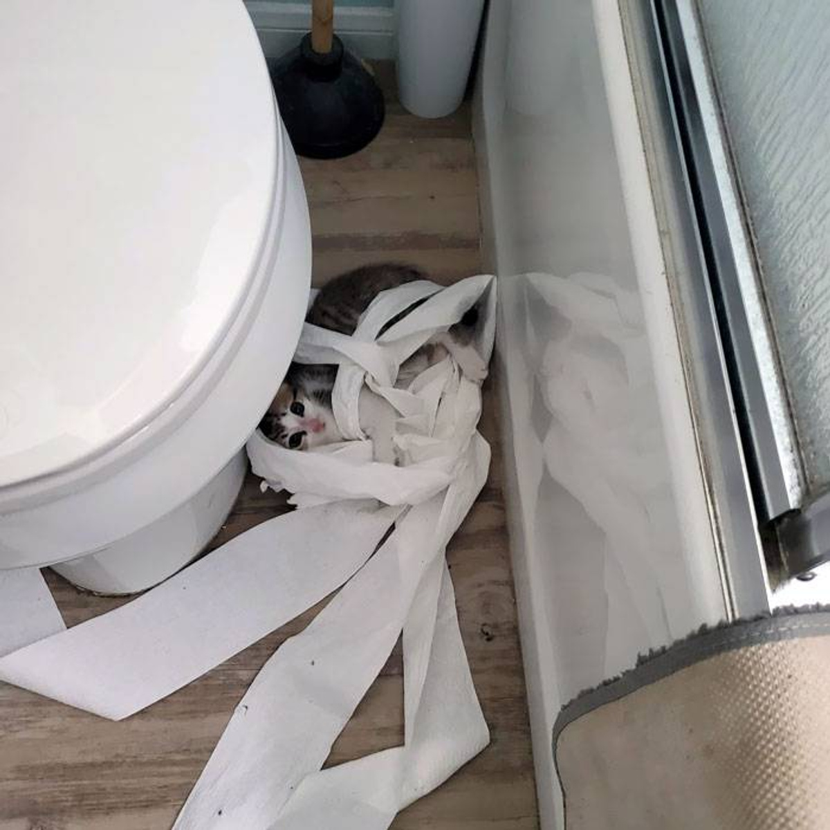 Фото © Reddit / Miquil