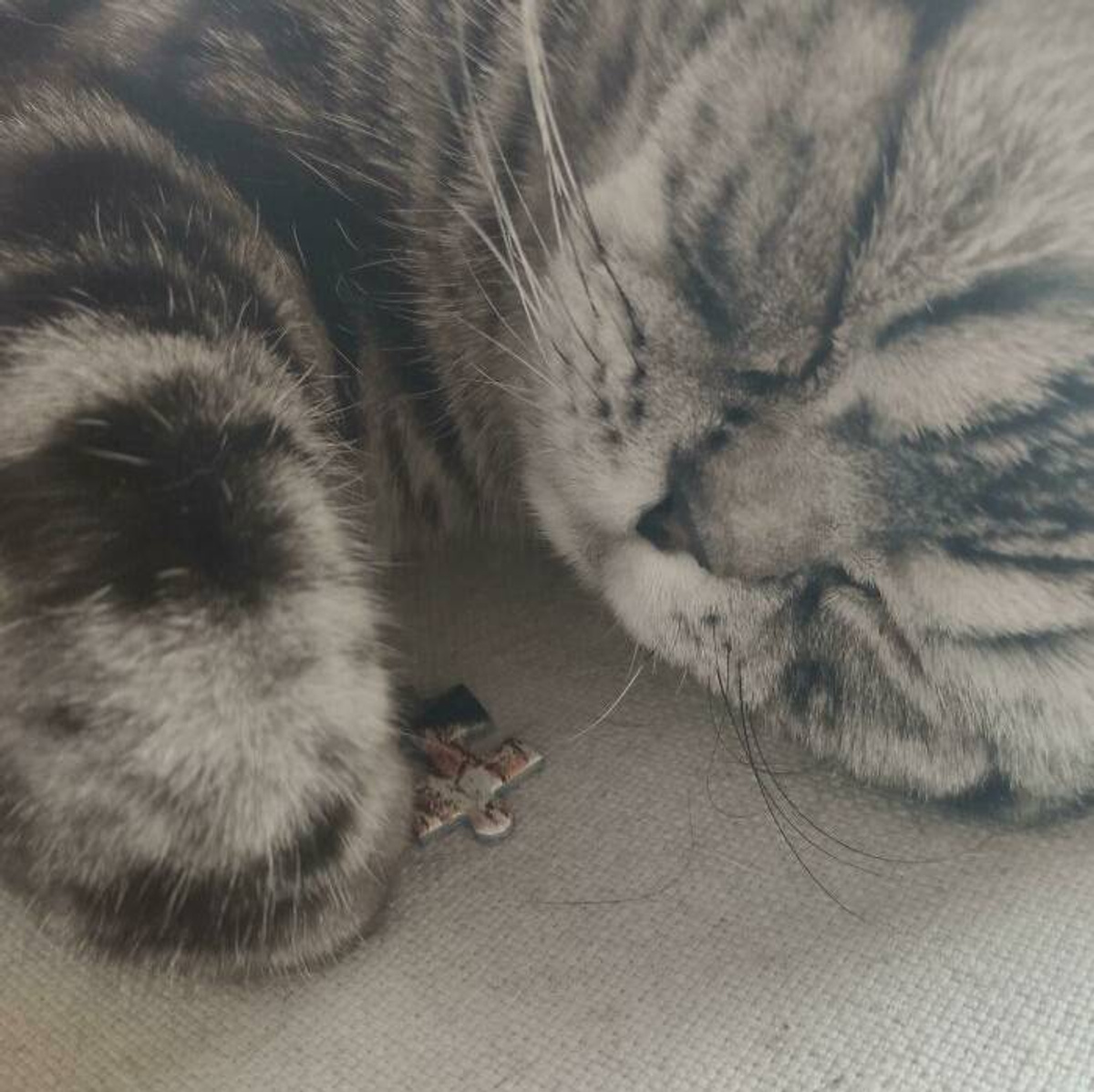 Фото © Reddit / aChristianObama