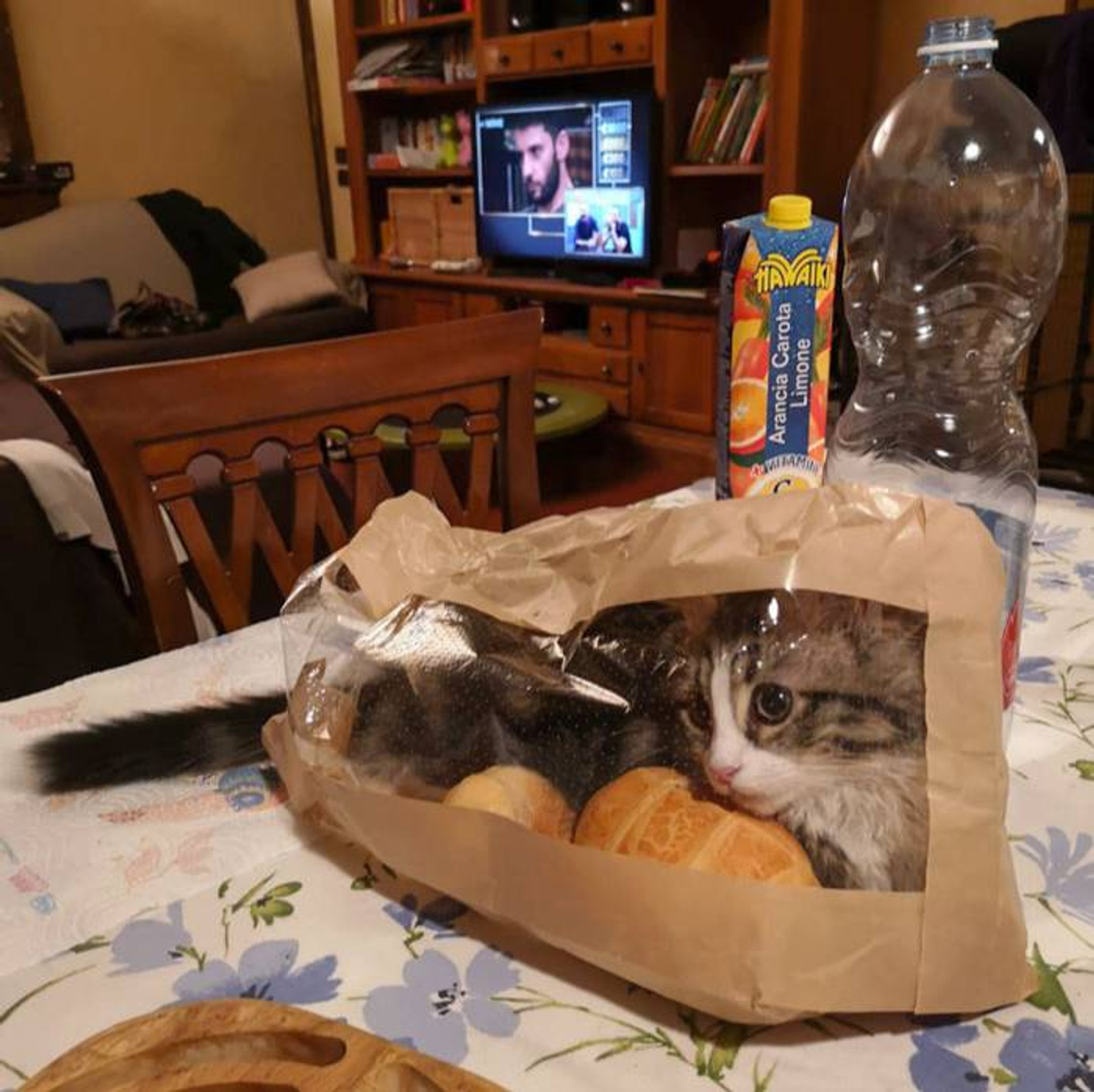 Фото © Reddit / kingonxhe