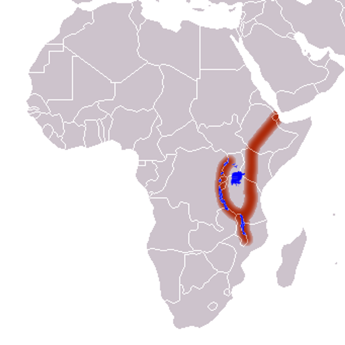 Схема расположения Восточно-Африканской рифтовой долины. Фото © Википедия