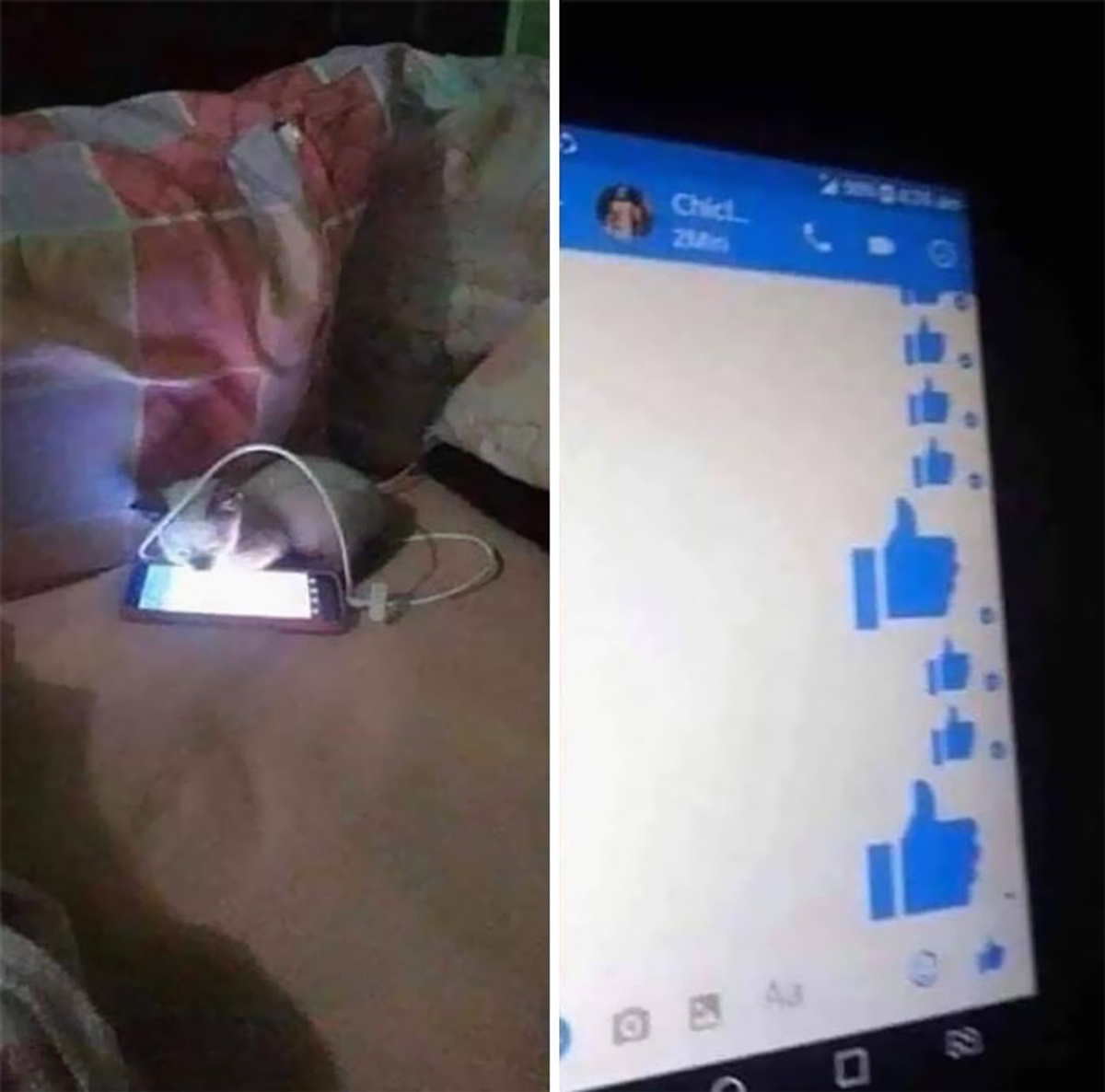 Фото © Reddit / keopidor