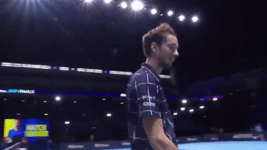 Теннисист Медведев впервые в карьере выиграл итоговый турнир ATP — видео