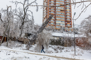Ликвидацией последствий стихии во Владивостоке займётся рабочая группа. Туда отправляют министра
