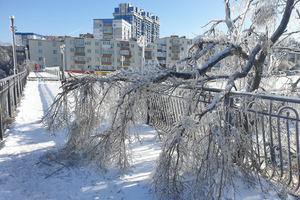 В Кремле оценили последствия ледяного циклона в Приморье