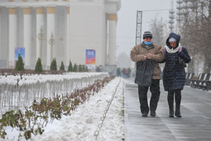 Коллективным иммунитетом к коронавирусу обладает примерно половина москвичей