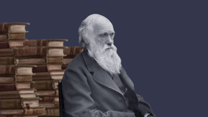 Ключ "тайны тайн". Что было в украденных дневниках Дарвина?