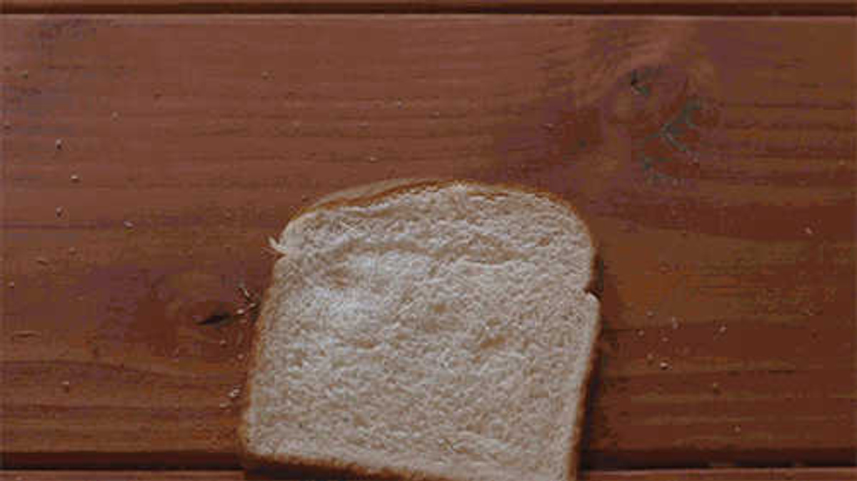 Четверо ножниц мягчайший хлеб поезжай быстрее пить. Хлеб падает. Хлеб упал. Кусок хлеба падает гиф. Хлеб упал gif.
