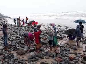 Индийцы перерыли пляж в надежде обогатиться. Причиной стал "золотой" ураган