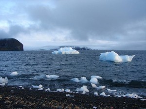 За три месяца почти не увидели льда. Российские учёные сделали открытие в Арктике