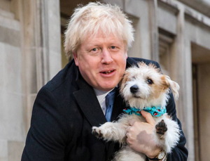 СМИ подозревают, что собака Джонсона переболела коронавирусом вместе с ним