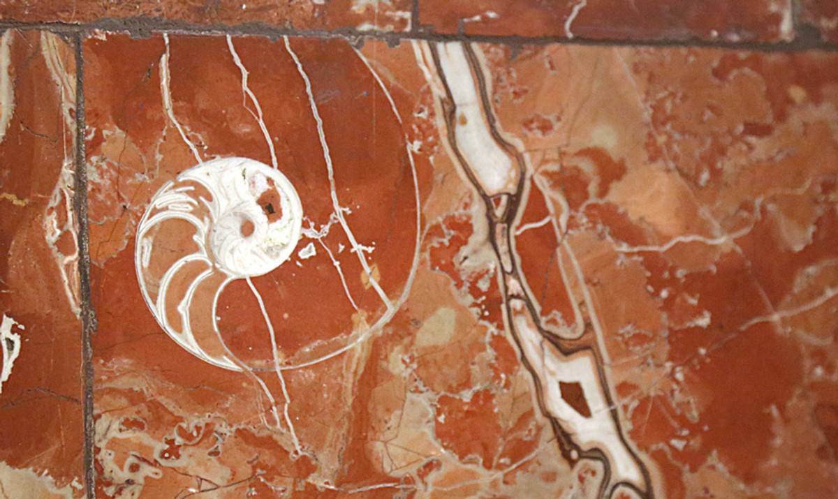 След древней окаменелости раковины моллюска возрастом 145–200 миллионов лет на колонне в вестибюле станции метро "Электрозаводская" в Москве. Фото © Правительство Москвы