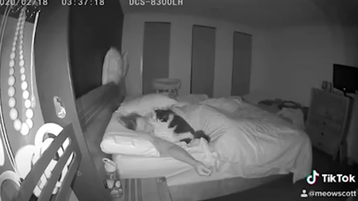 Spy Sleeping Mom