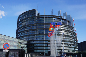 В Европарламенте указали на угрозу свободе слова в Facebook и Twitter
