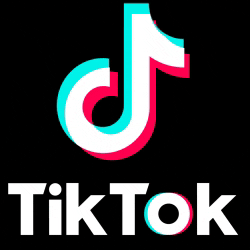 TikTok назвал самые популярные треки уходящего года в России