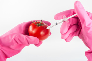 В России за год в восемь раз снизилось число продуктов с нарушением содержания ГМО