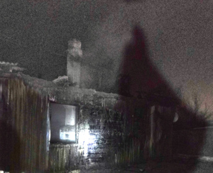 Мать и двое детей погибли при пожаре в частном доме в Иркутской области