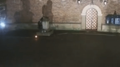 Украинец топором отрубил пальцы памятнику папе римскому под Львовом — видео