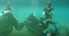 Крымские дайверы ночью нарядили праздничную ёлку на дне Чёрного моря — видео