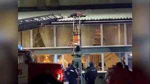 Женщина выпала с балкона на крышу петербургского ресторана и осталась жива — видео
