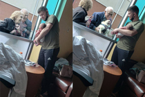 Собаки порода лента новостей