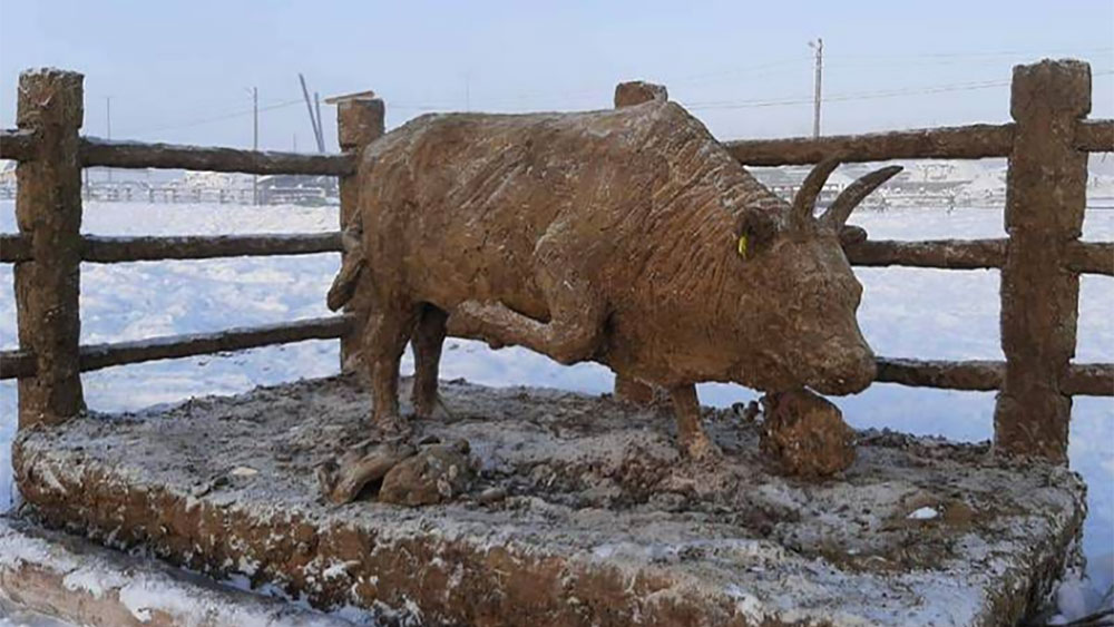 С запахом уходящего года? Скульптор из Якутии слепил символ 2021-го из навоза