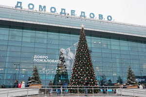 Более 140 рейсов вылетели из Домодедово после коллапса из-за ледяного дождя