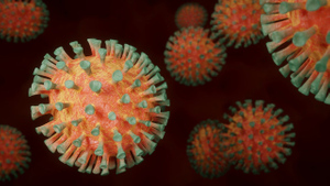 В ВОЗ назвали четыре версии передачи коронавируса человеку, но одна из них "крайне маловероятна"
