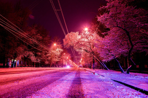 Прошедшая ночь стала самой холодной с начала зимы в Москве и области