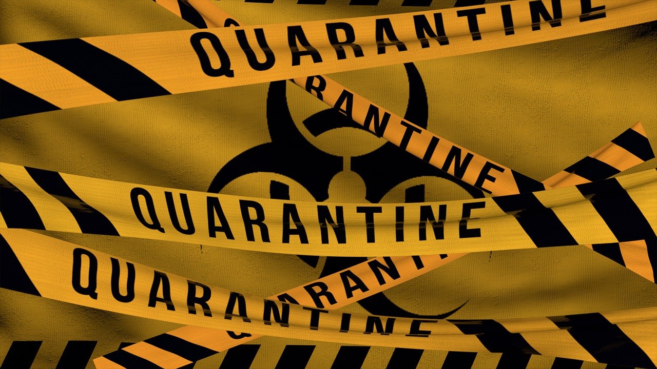 Вирусолог предупредил об угрозе другой смертельно опасной болезни на фоне пандемии