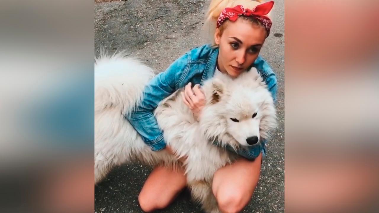 Собака украла камеру. Девушка украла собаку. Собака поводырь в москве. Девушка украла собаку. Собака поводырь.