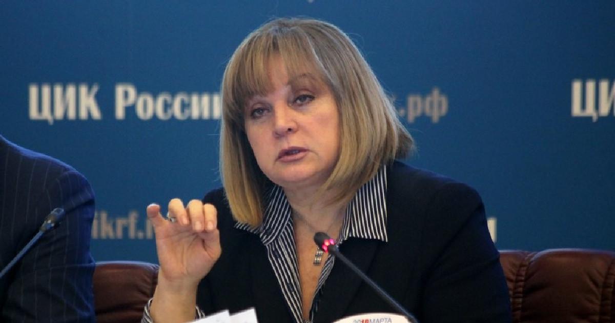 Памфилова пообещала одноразовые ручки каждому участнику голосования по конституции