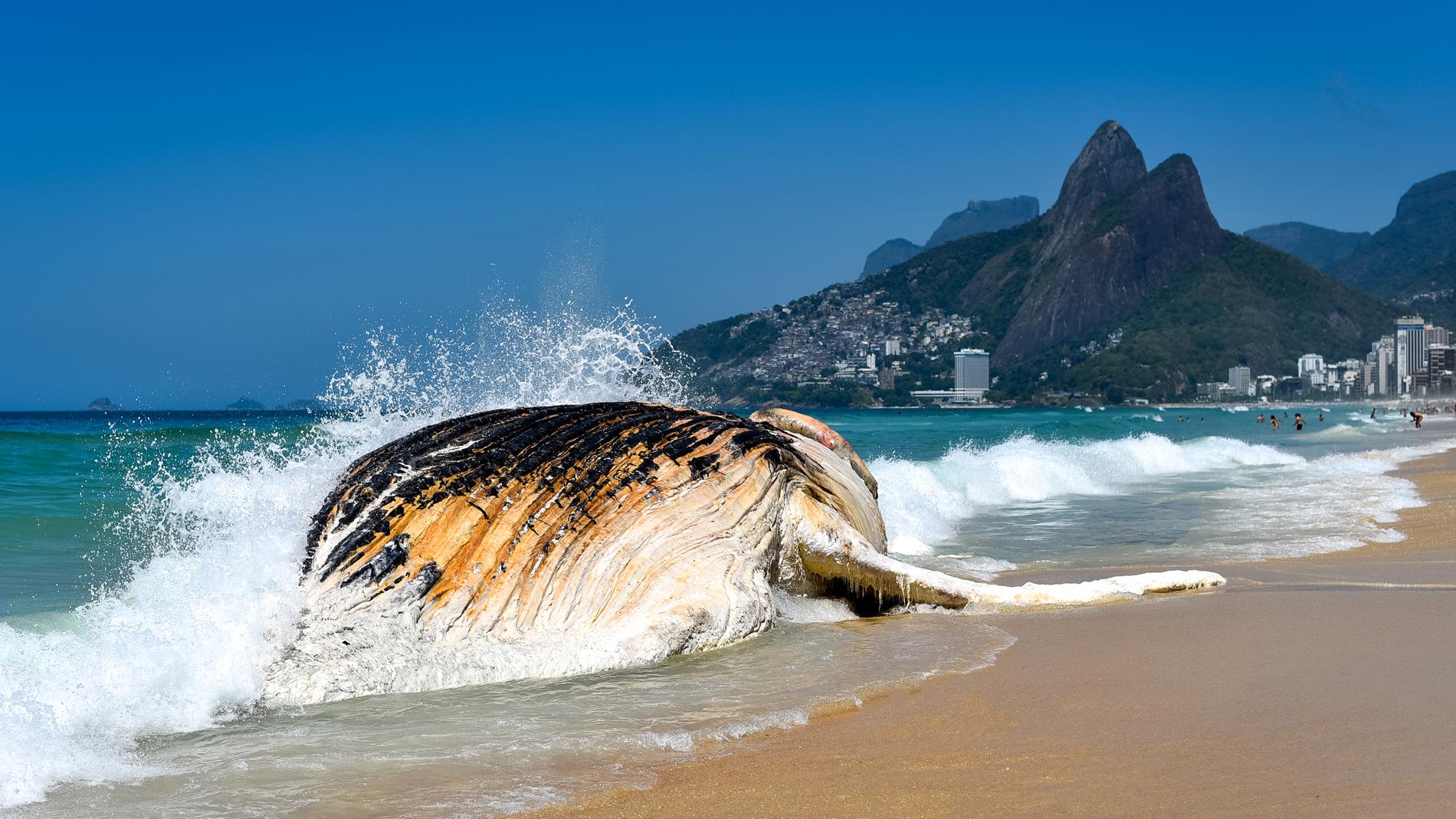 Фото © Shutterstock