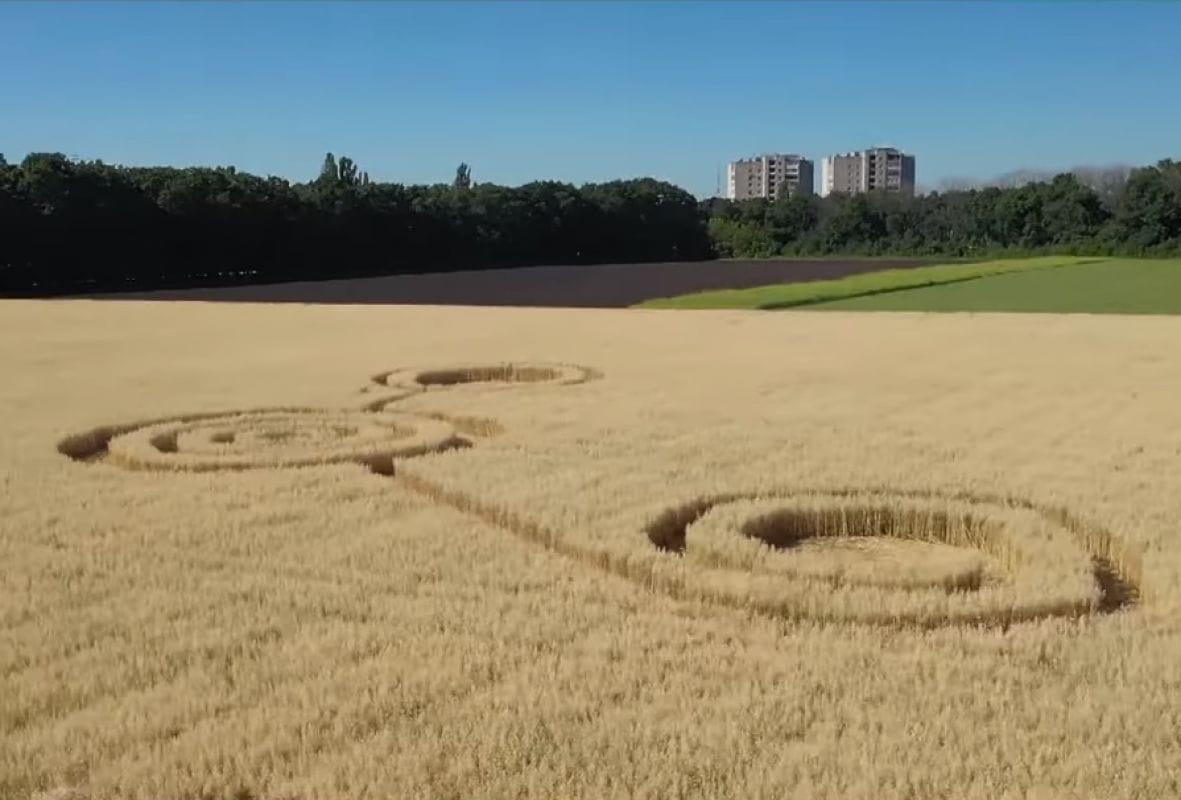 В Воронеже на пшеничном поле появились таинственные круги