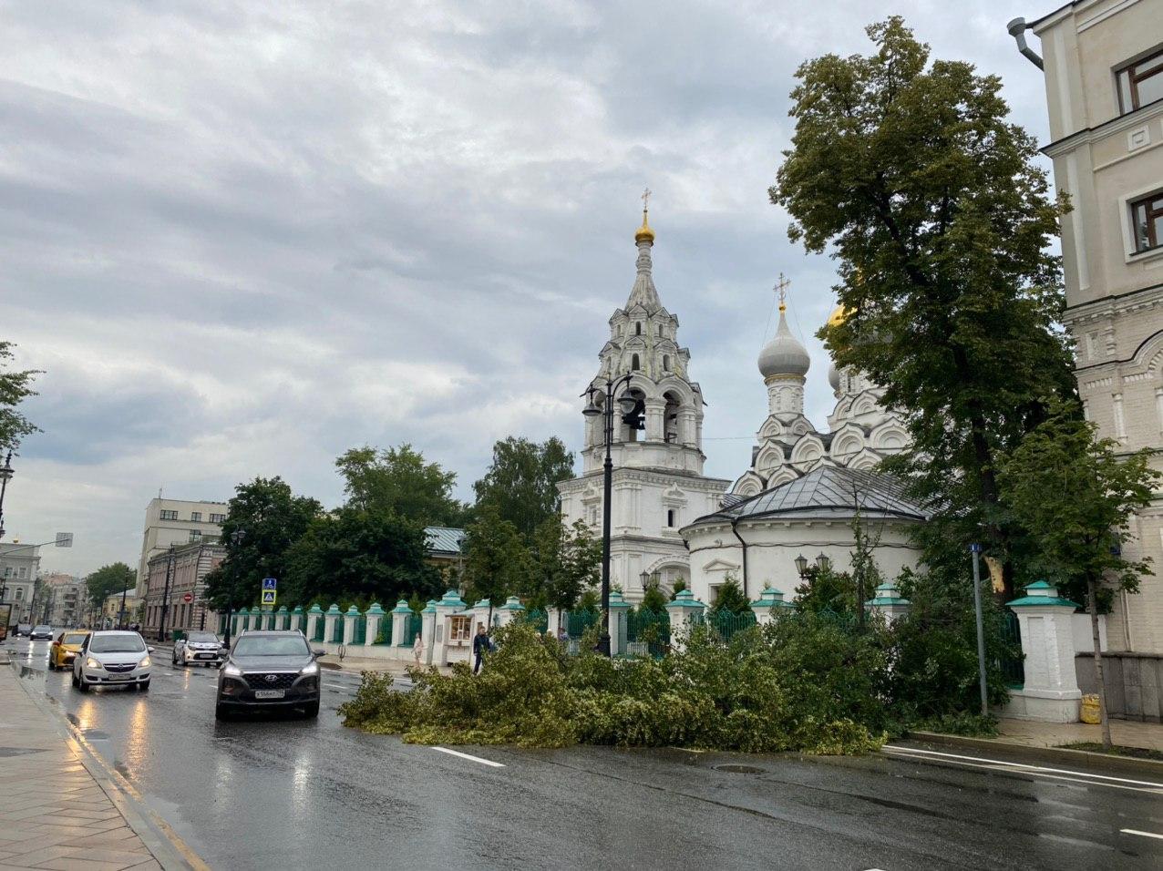 Знак Божий? В центре Москвы дерево с территории храма упало и преградило машинам путь