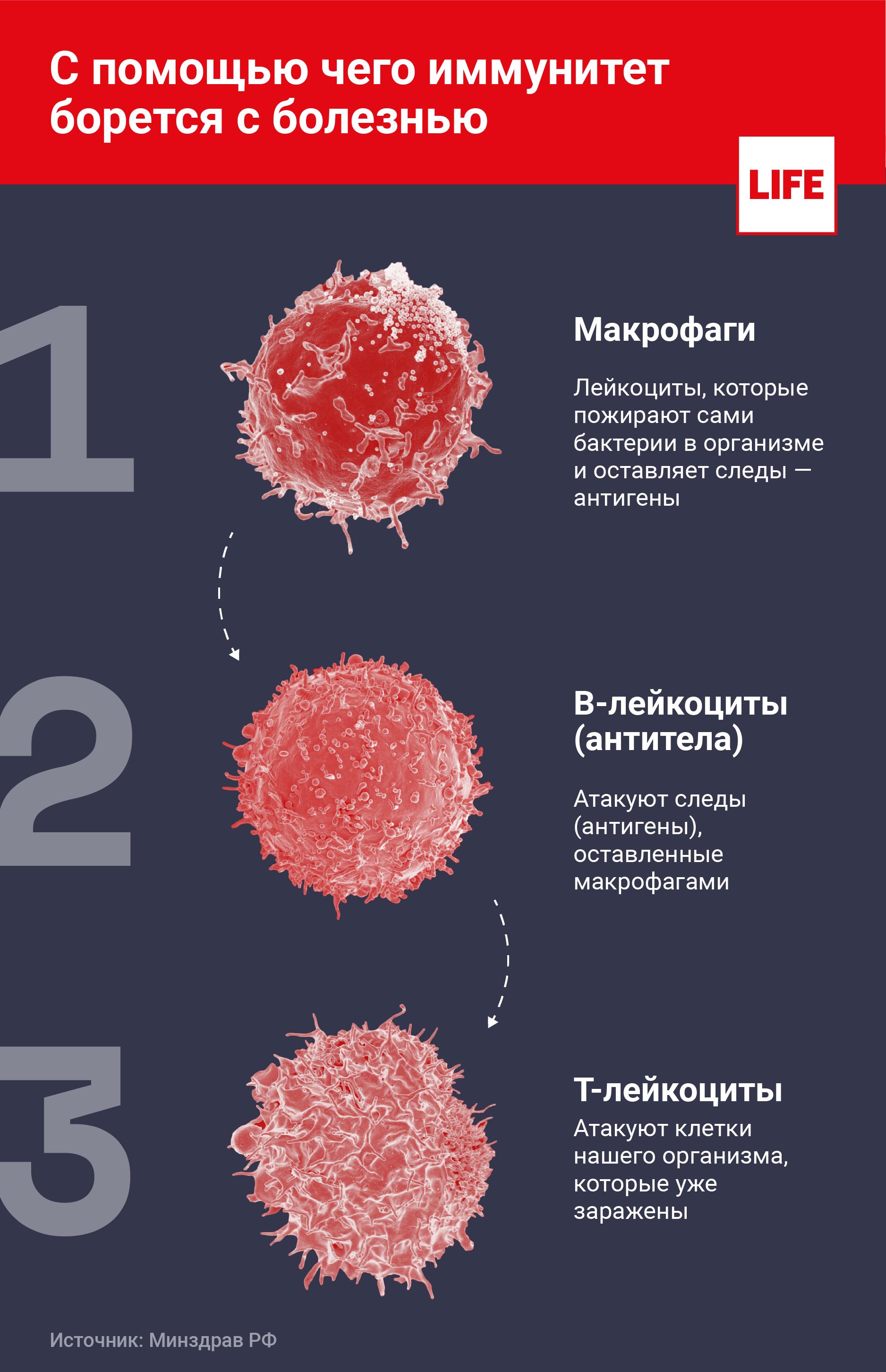 Какой иммунитет создает чумная вакцина