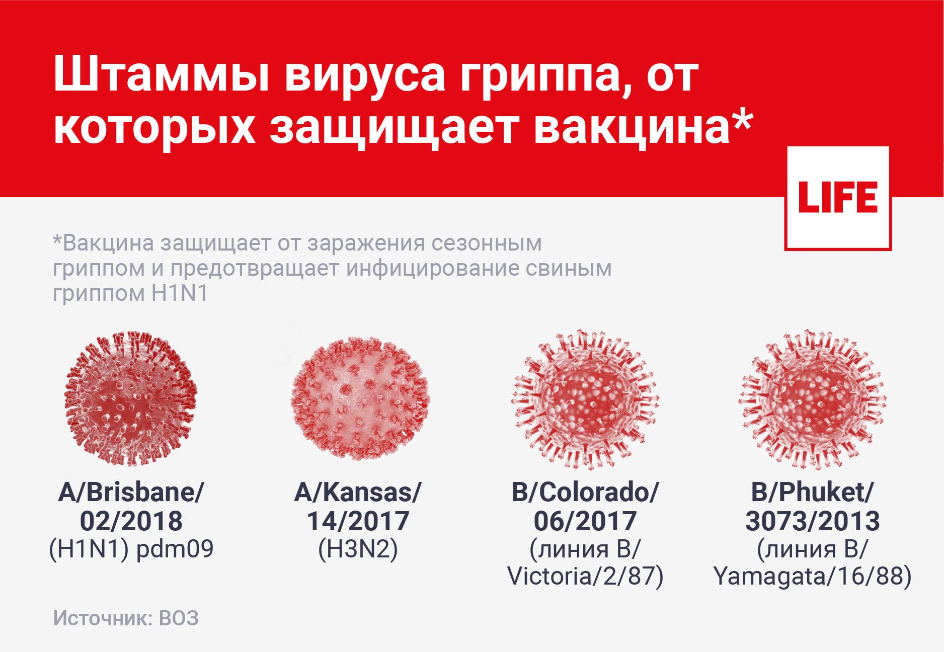 Вакцинация от гриппа ослабляет иммунитет