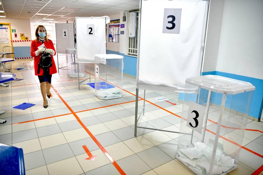 В ЛДПР заверили, что для комфортного и безопасного голосования по поправкам были созданы все условия