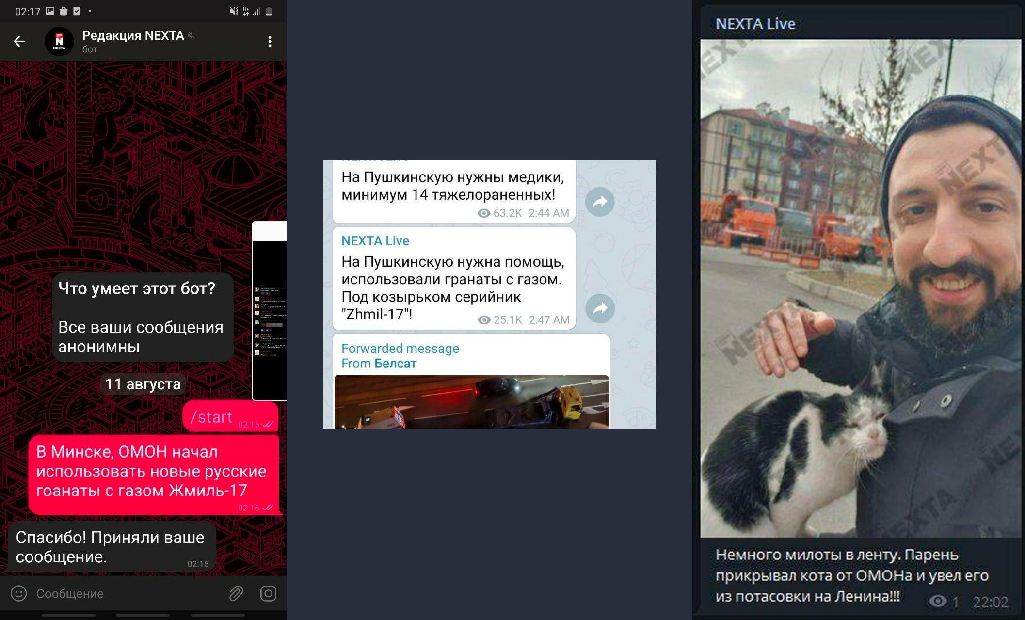 Скриншот © Tелеграм-канал Какая страна — такие селебрити, © Скриншот © Tелеграм-канал Минправды