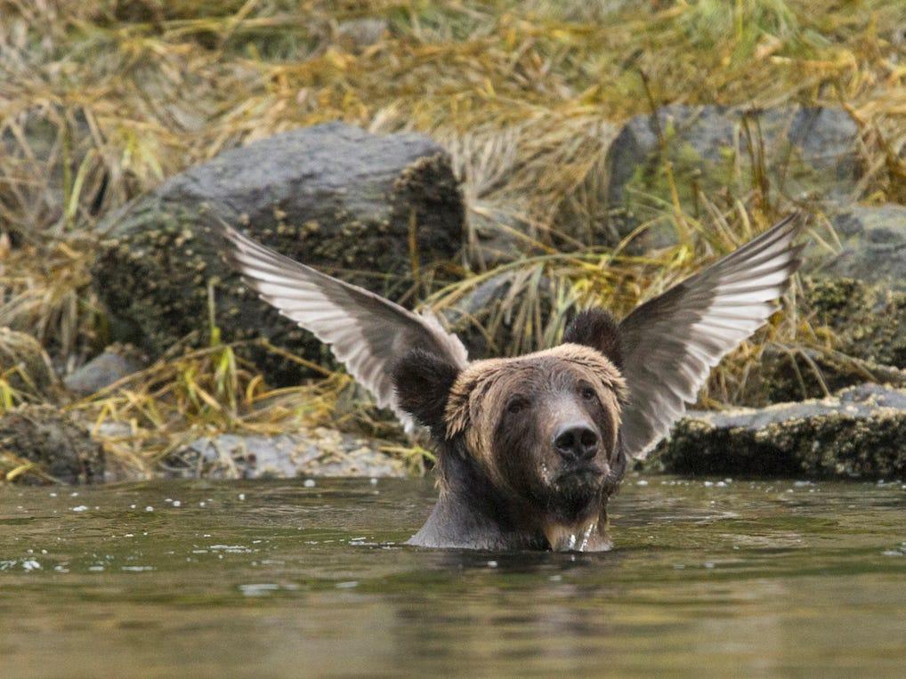 Фото © Adam Parsons / Barcroft Images