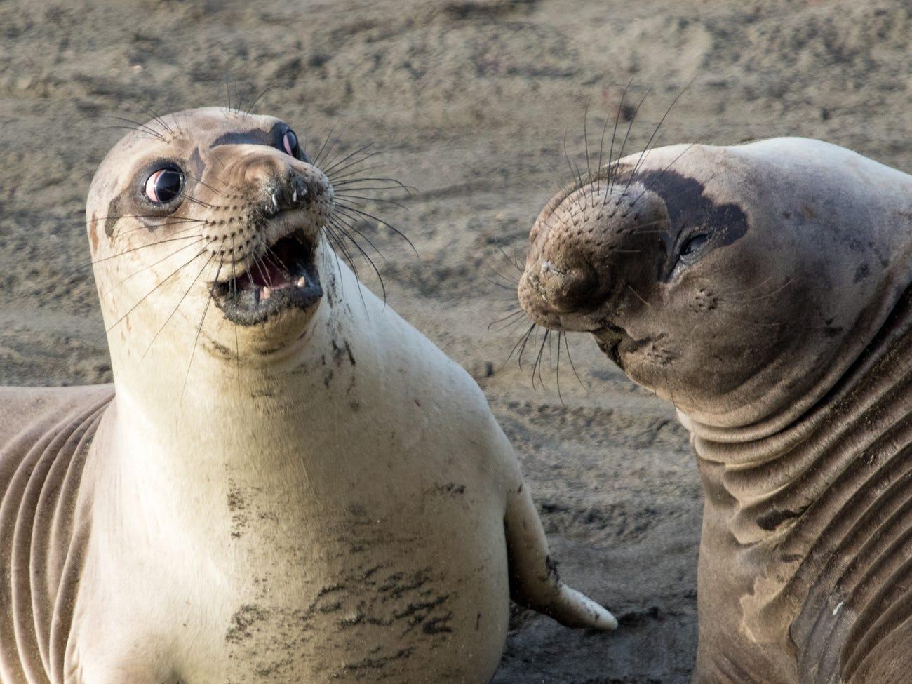 Фото © George Cathcart / CWPA / Barcroft Images