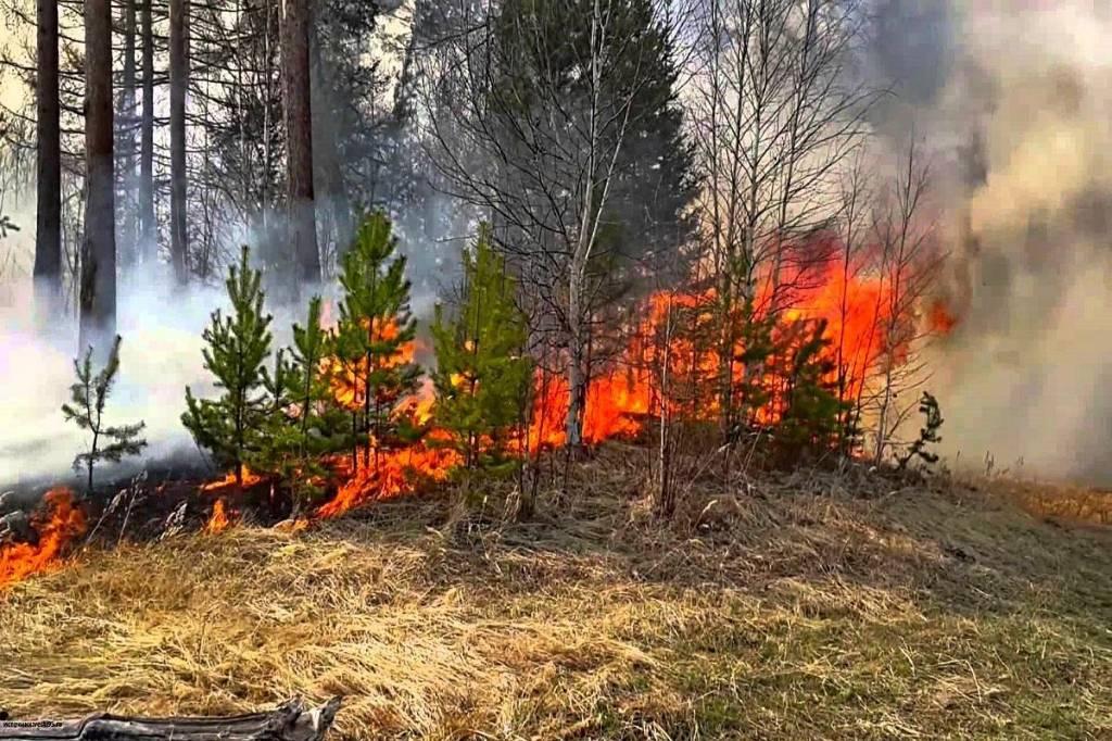 Крупный лесной пожар ликвидировали в заповеднике Утриш под Анапой