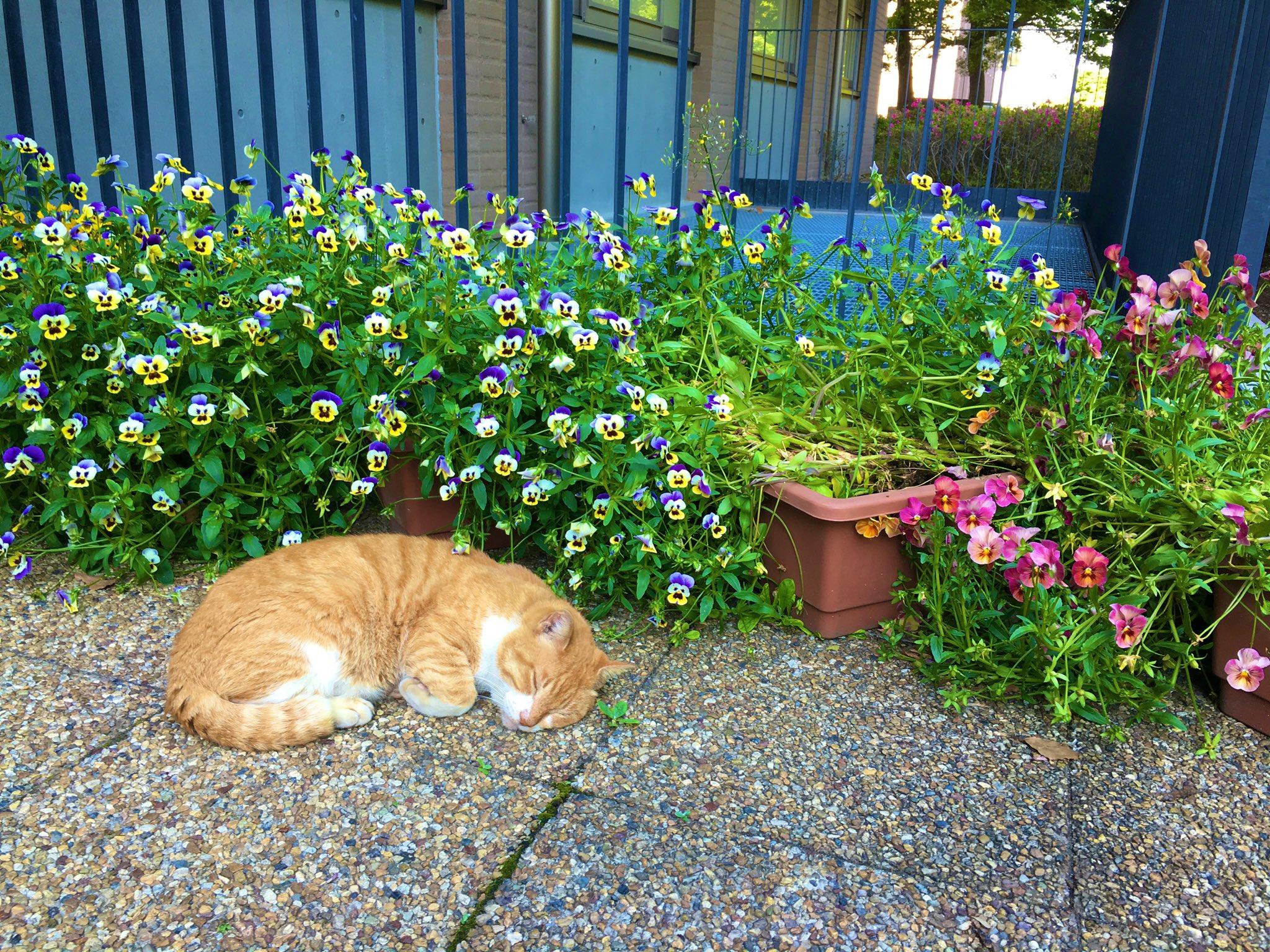 Фото © Twitter / 3lv_b