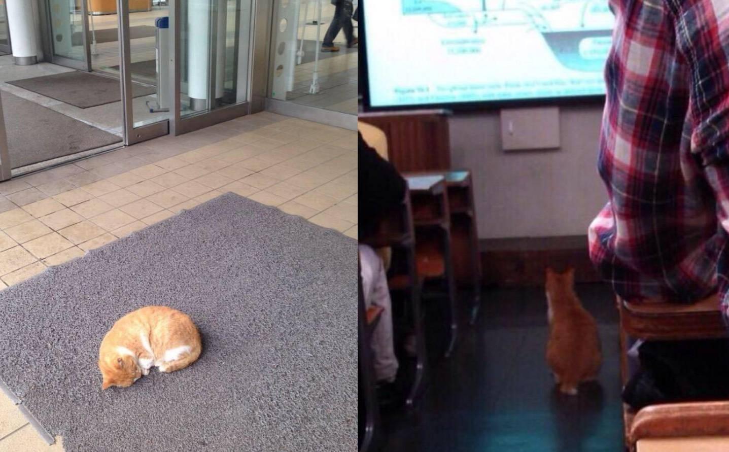 Фото © Twitter / _nao_michi_