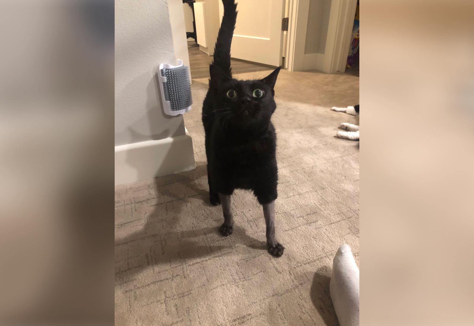 Фото © Twitter / trashlyn_