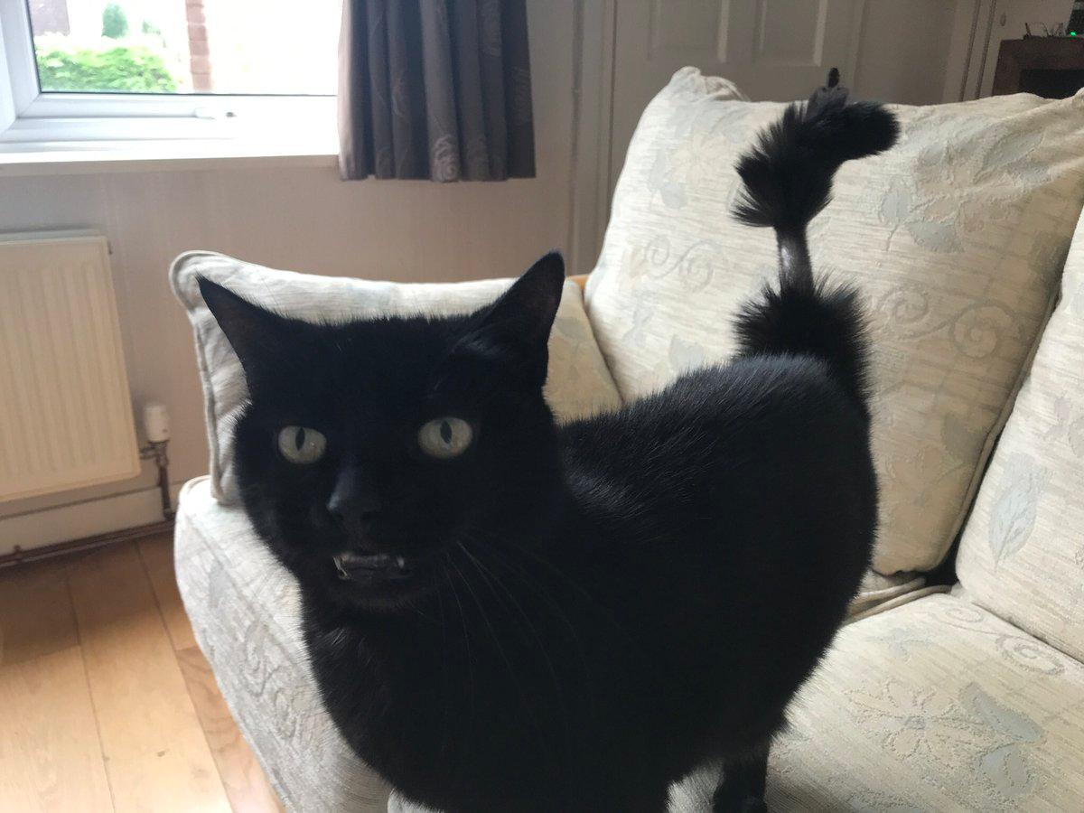 Фото © Twitter / RosieDicken