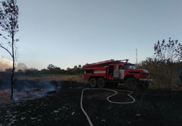 Названа возможная причина лесных пожаров в Ростовской области