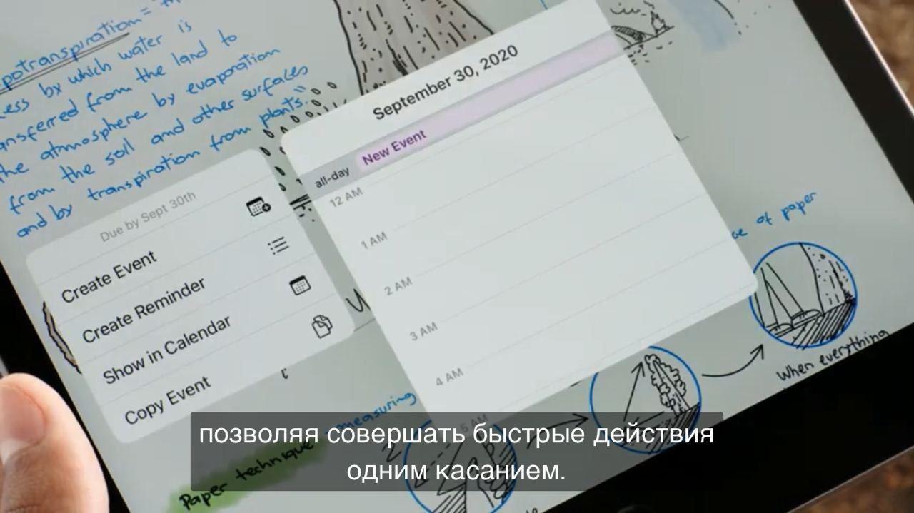 Фото © Wylsa.com