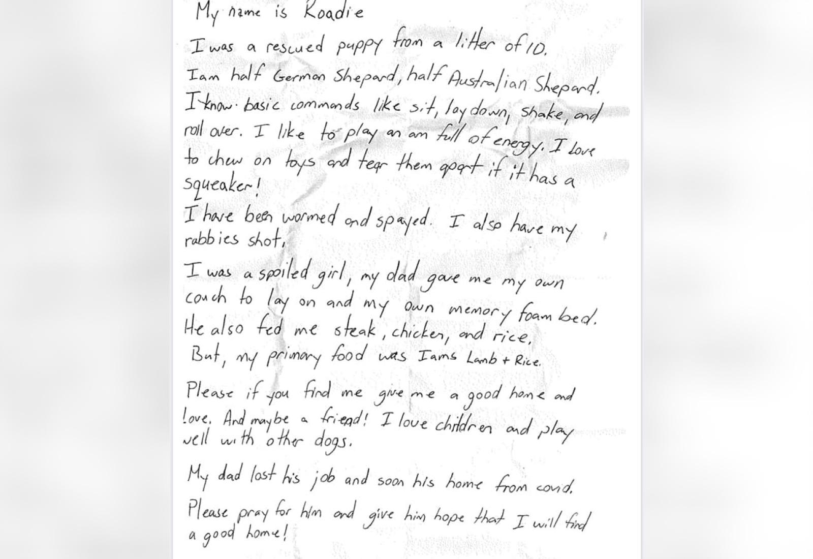 Фото © Facebook / Hendricks County Animal Shelter